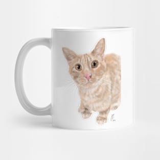 A Friendly Orange Kitty Mug